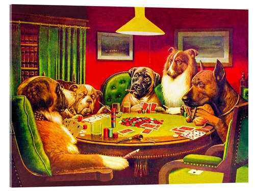 Acrylic print Dog Poker – "Is the St. Bernard bluffing?", 1903