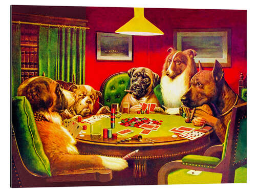 Aluminiumsbilde Dog Poker – "Is the St. Bernard bluffing?", 1903