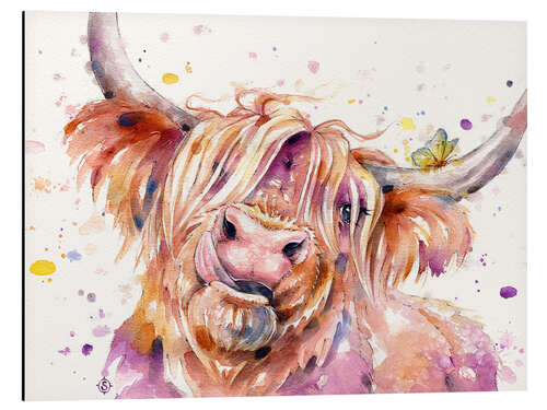 Aluminium print Bad hair don't care (Highland Cow)