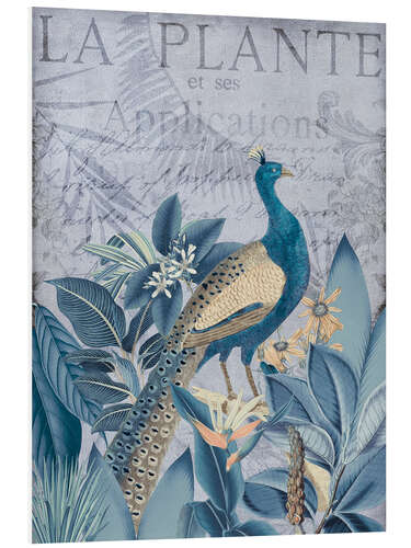 Foam board print Peacock in the tropics