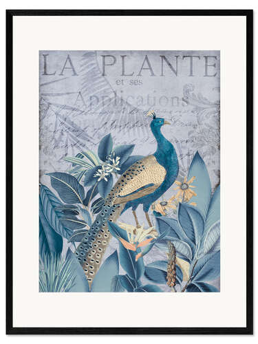 Gerahmter Kunstdruck Pfau in den Tropen