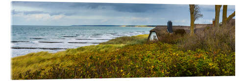 Acrylglasbild Herbst in Ahrenshoop