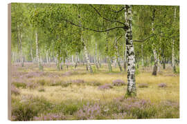 Quadro de madeira Silence in the birch forest