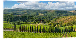 Quadro em acrílico Cypress alley in Chianti in Tuscany