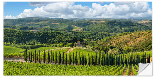 Wall sticker Cypress alley in Chianti in Tuscany