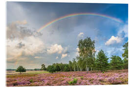 Acrylic print Rainbow over the moorland