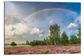 Aluminium print Rainbow over the moorland