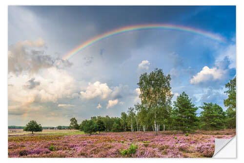 Wandsticker Regenbogen über der Heidelandschaft