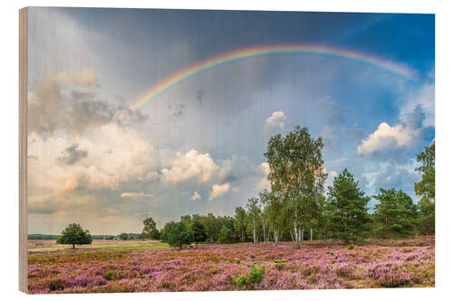 Trätavla Rainbow over the moorland