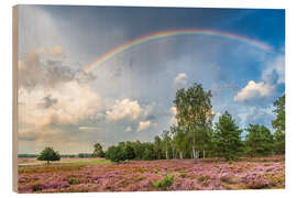 Puutaulu Rainbow over the moorland