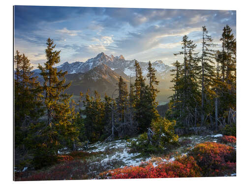 Gallery print Magical Alpine Light II