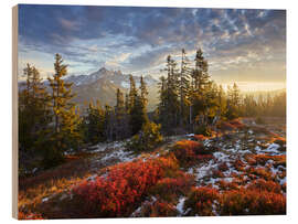 Trebilde Magical alpine light