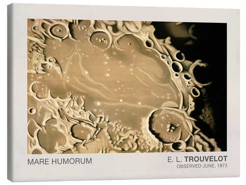 Canvas-taulu Mare Humorum