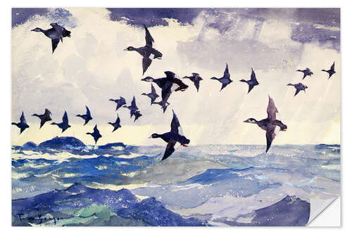 Selvklebende plakat Scoters over Water, 1924