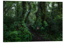 Magnettafel Monteverde-Trail