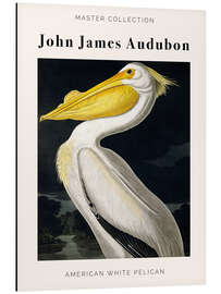 Alubild American White Pelican