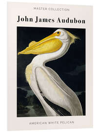 Foam board print American White Pelican