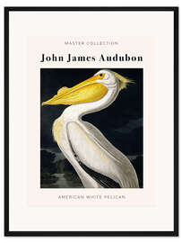 Gerahmter Kunstdruck American White Pelican