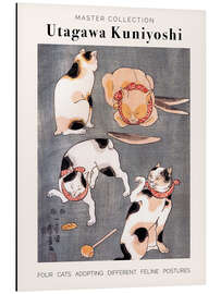 Magnettafel Feline Postures