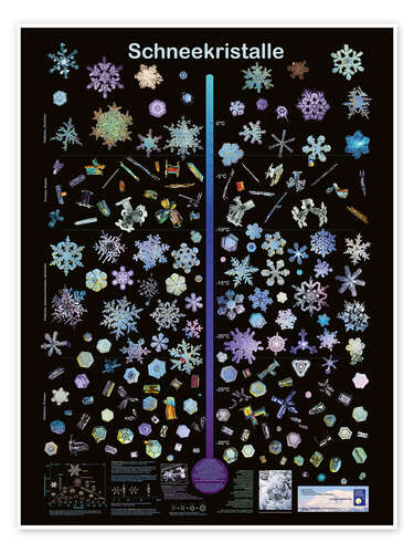 Poster Snow crystals (German)
