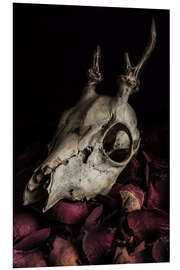 Quadro em PVC Still life with billy goat skull and rose petals