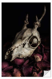 Wall sticker Still life with billy goat skull and rose petals