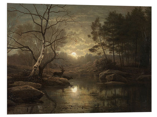 Foam board print Forest Landscape in the Moonlight