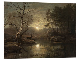 Foam board print Forest Landscape in the Moonlight