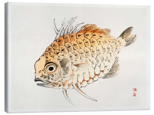 Canvas print Fish