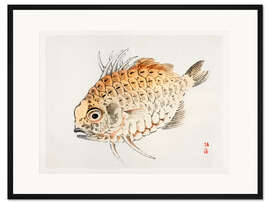 Gerahmter Kunstdruck Fisch