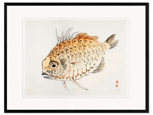 Kehystetty taidepainatus Fish