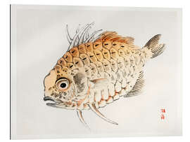 Gallery print Fish