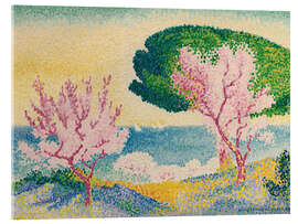 Acrylglasbild Rosa Frühling, 1908