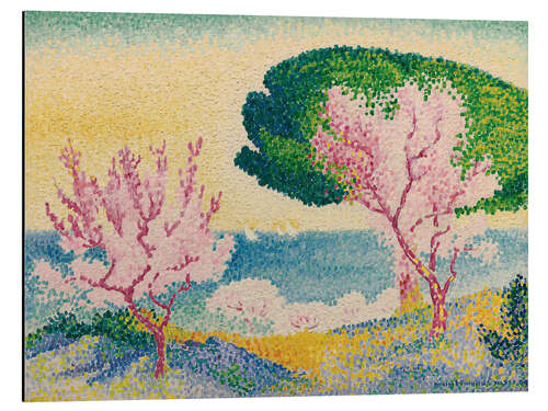 Cuadro de aluminio Pink Spring, 1908