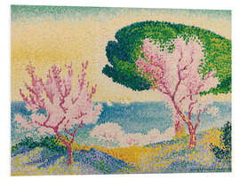 Foam board print Pink Spring, 1908