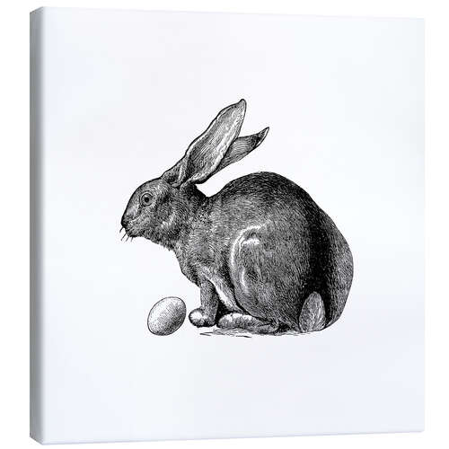 Canvas print Vintage Easter Bunny