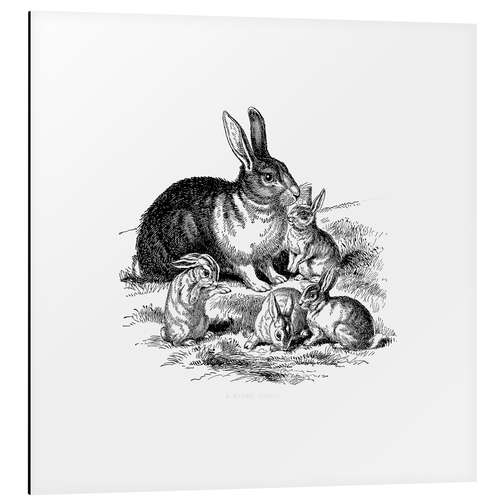 Aluminium print Vintage Easter Bunny Family