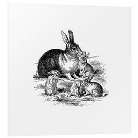 Foam board print Vintage Easter Bunny Family