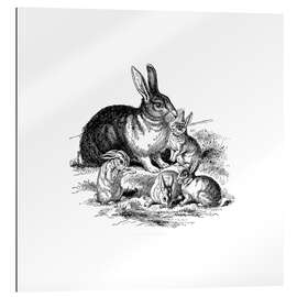 Stampa su plexi-alluminio Vintage Easter Bunny Family