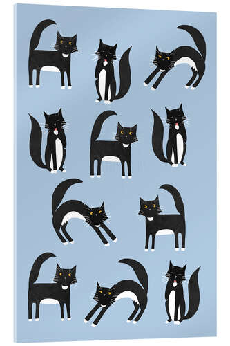 Acrylic print Black and White Tuxedo Cats on Blue