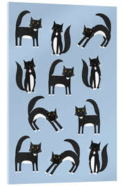 Akrylbilde Black and White Tuxedo Cats on Blue