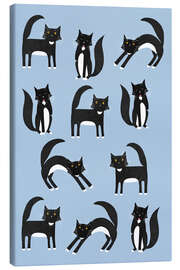 Canvas print Black and White Tuxedo Cats on Blue