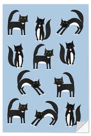 Selvklebende plakat Black and White Tuxedo Cats on Blue