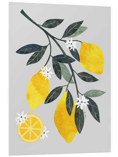 Stampa su PVC Lemons