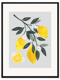 Gerahmter Kunstdruck Zitronen