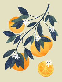 Magnettafel Orangenzweig