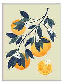 Poster Oranges Branch