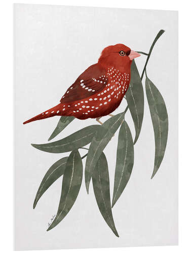 Tableau en PVC Bengali red bird