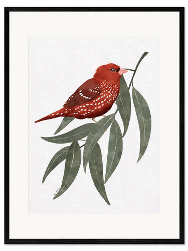 Inramat konsttryck Bengali red bird