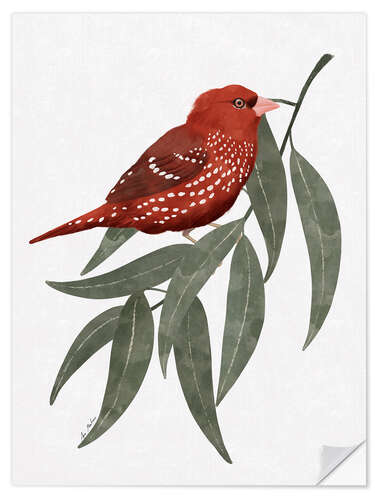 Wandsticker Bengalischer roter Vogel